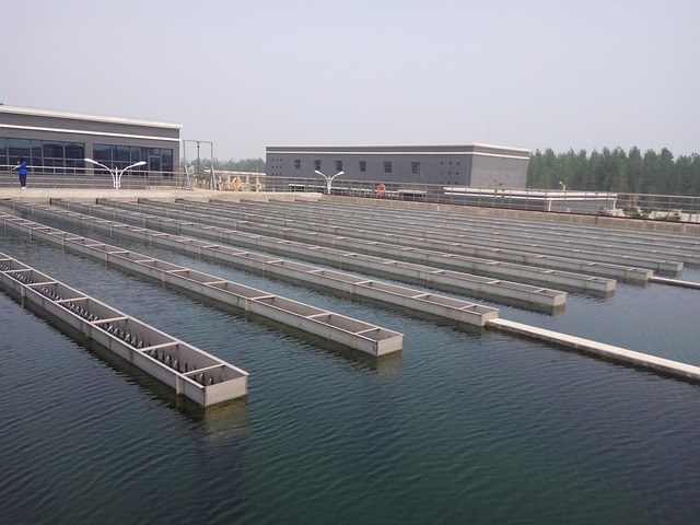 boiler water treatment chemicals