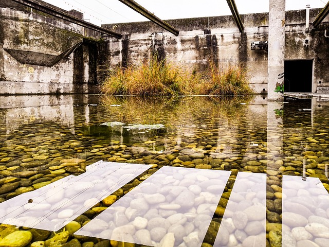 clarifiers water treatment