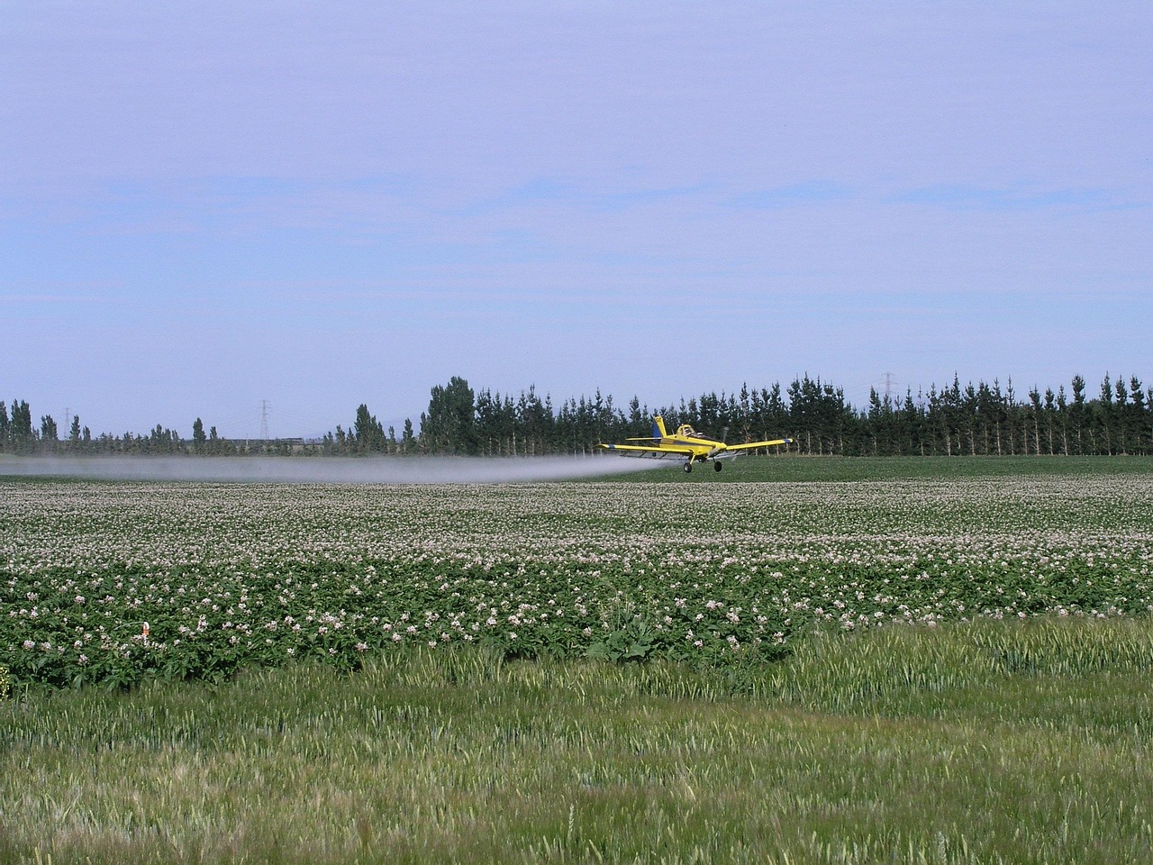 agriculture, spray, plane, farm, insecticide, nature, equipment, field, agricultural, plant, chemical, spraying, farming, blue farm
