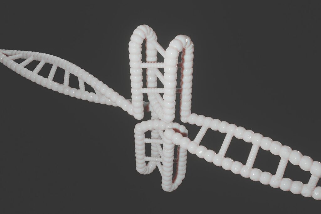 human, dna, genetic, cytosine, c-rich regions, i-motif, i-tetraplex, i-dna, dns, i-motif dna, quadruplex, g-quadruplex, non-b-dna, dna, dna, dna, dna, dna, genetic
