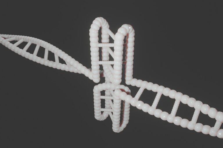 human, dna, genetic, cytosine, c-rich regions, i-motif, i-tetraplex, i-dna, dns, i-motif dna, quadruplex, g-quadruplex, non-b-dna, dna, dna, dna, dna, dna, genetic