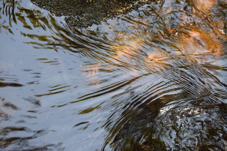 water, features, treatment, old, nature, antique
