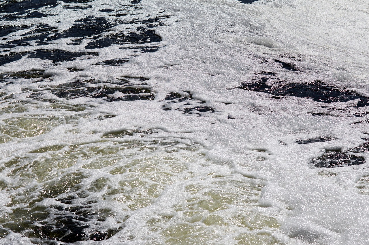 water, sewage, pollution, plum, ecology, factory, nature, river, cleaning