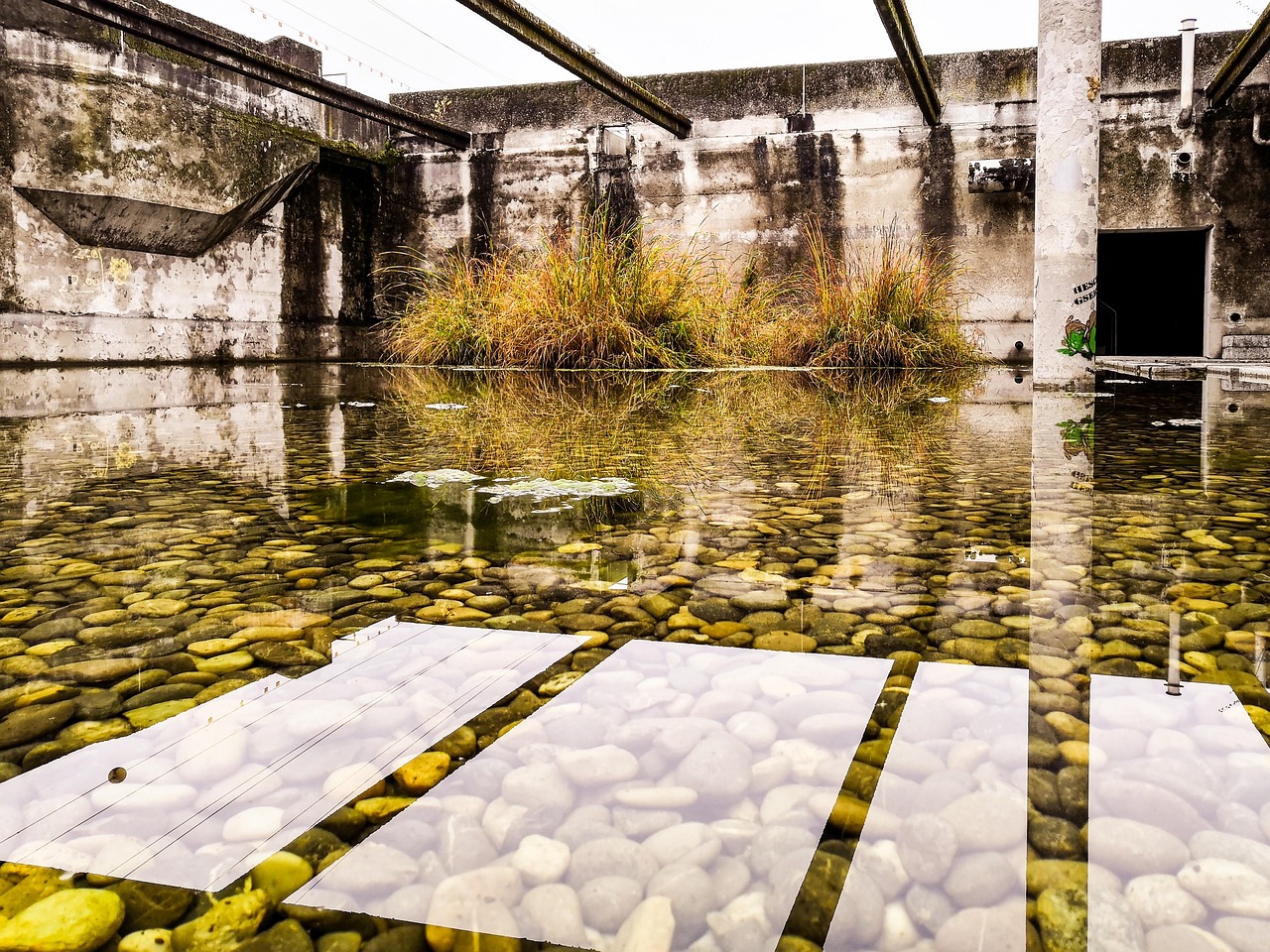 switzerland, water, sewage treatment plant, out of order, clarifiers, wastewater treatment, nature, attisholz, light, reflection