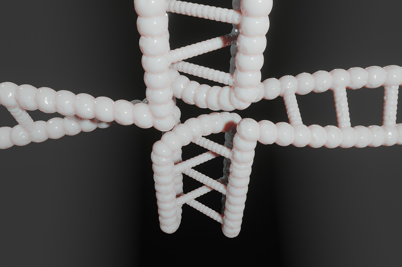 human, dna, genetic, cytosine, c-rich regions, i-motif, i-tetraplex, i-dna, dns, i-motif dna, quadruplex, g-quadruplex, non-b-dna, dna, dna, dna, dna, dna, genetic
