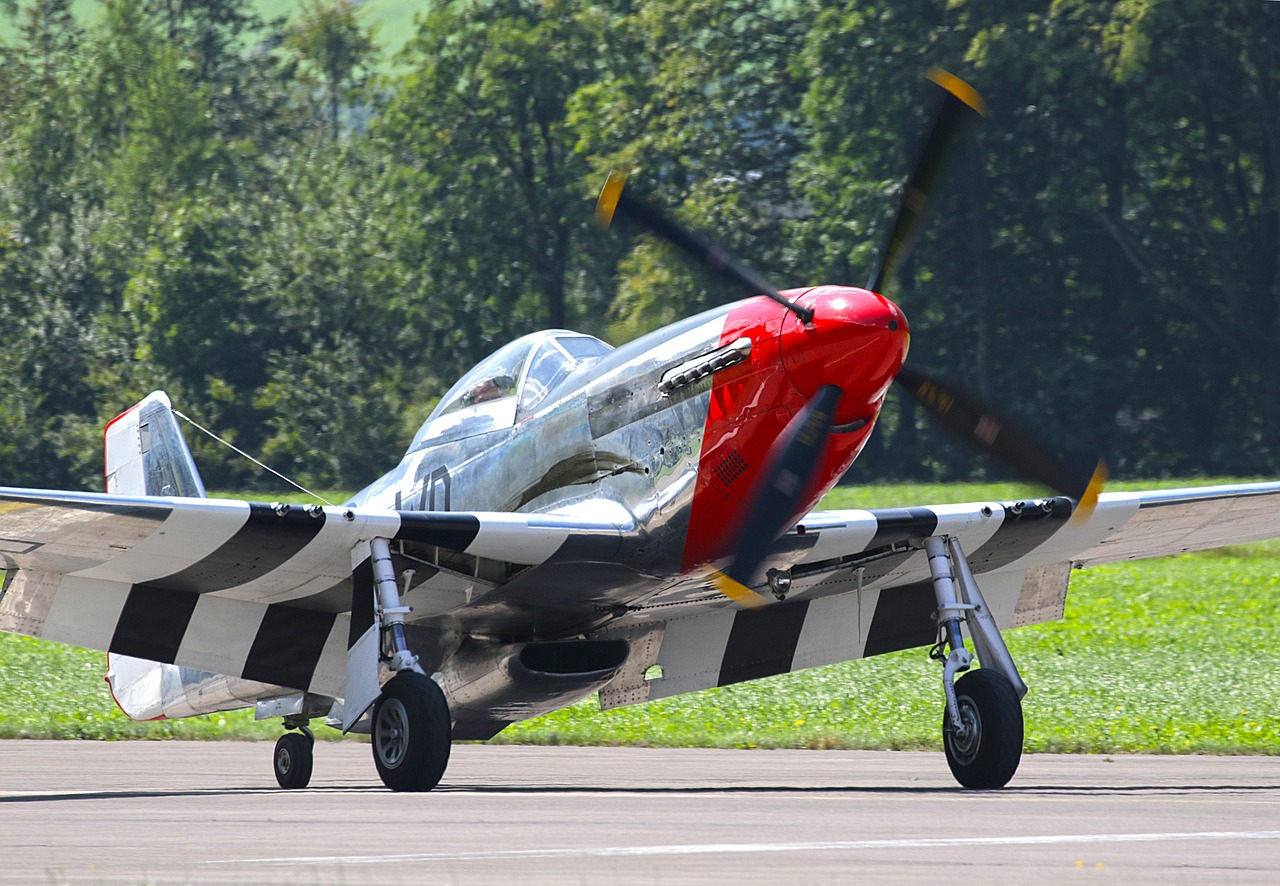 p-51 mustang, fighter plane, warbird, fighter aircraft, plane, aviation