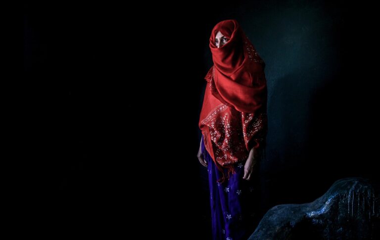 woman, tradition, culture, dress, indian, beauty, female, girl, indian, indian, indian, indian, indian