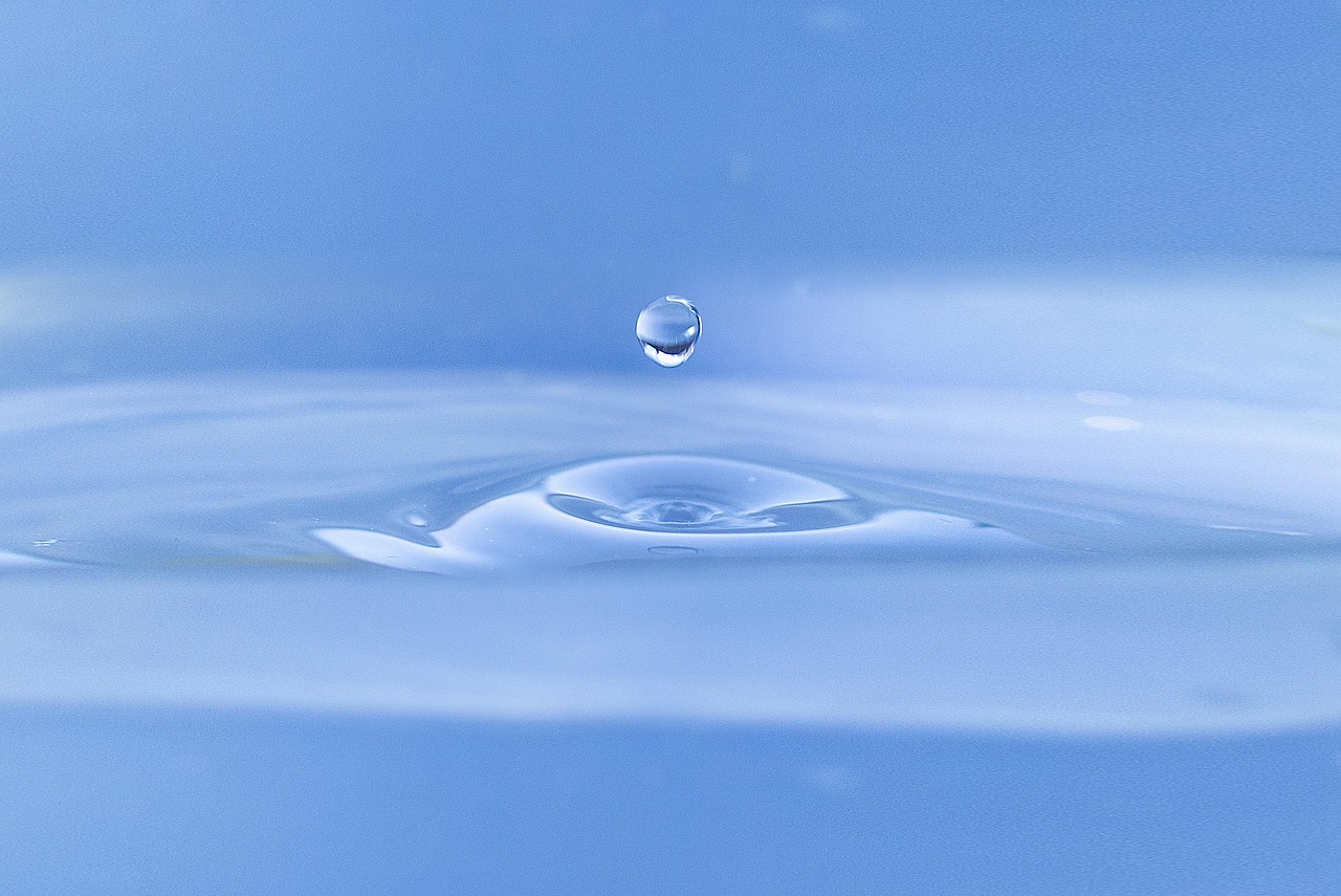 water drop, toilet, nature, gout, water, fresh, rain, bokeh, water drop, water drop, toilet, toilet, toilet, water, water, water, water, water, rain, rain
