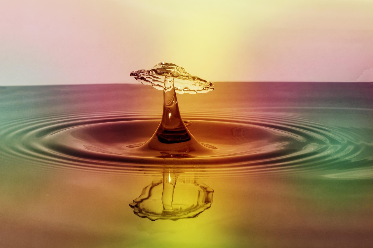 drop, splash, impact, ripples, water, ripple effect, nature, waves, macro, drip, liquid, surface tension, surface, water surface, droplet, colorful, drop of water, wet, clear, reflection, mirroring, water reflection