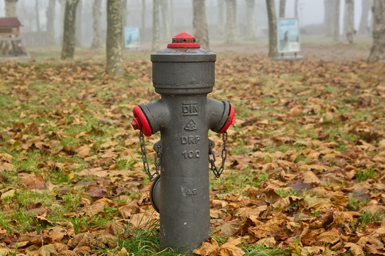 hydrant, watering hole, fire fighting water supply, water tap, water supply, water hydrant, nature, fire fighting, water withdrawal, fire fighting water, fire fighters, water supplier, fall, leaves