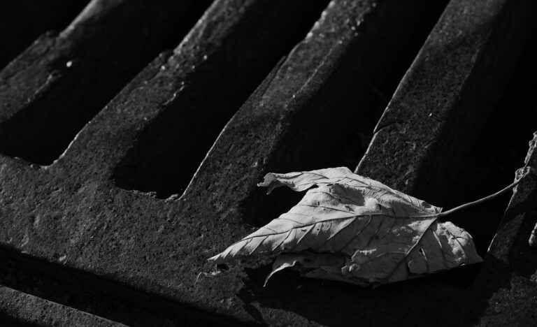 blade, waste, sewerage, channel, atmosphere, architecture, building, street, city, urban, macro, close, detail, close up, opening, passage, way, steel, drainage, wastewater, access, underground, wc, water, iron, public, health, environment, hygiene, recycling, ecology, knowledge, removal, garbage, cover, discharge, cast iron, leaves, nature, metal, irons, bars, grid, safety, structure, steel construction, grate, flow, liquid, thirst, wet, thirsty, h2o, sewerage, sewerage, sewerage, drainage, drainage, drainage, drainage, drainage, wastewater