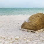 israel, dead sea, salt, shoreline, landscape, blue, salt crystals, sodium chloride, dead sea, dead sea, dead sea, dead sea, dead sea