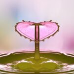 waterdrop, drops, nature, water, pink, liquid, macro, wet, surface tension, jumping up drop