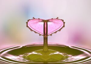 waterdrop, drops, nature, water, pink, liquid, macro, wet, surface tension, jumping up drop