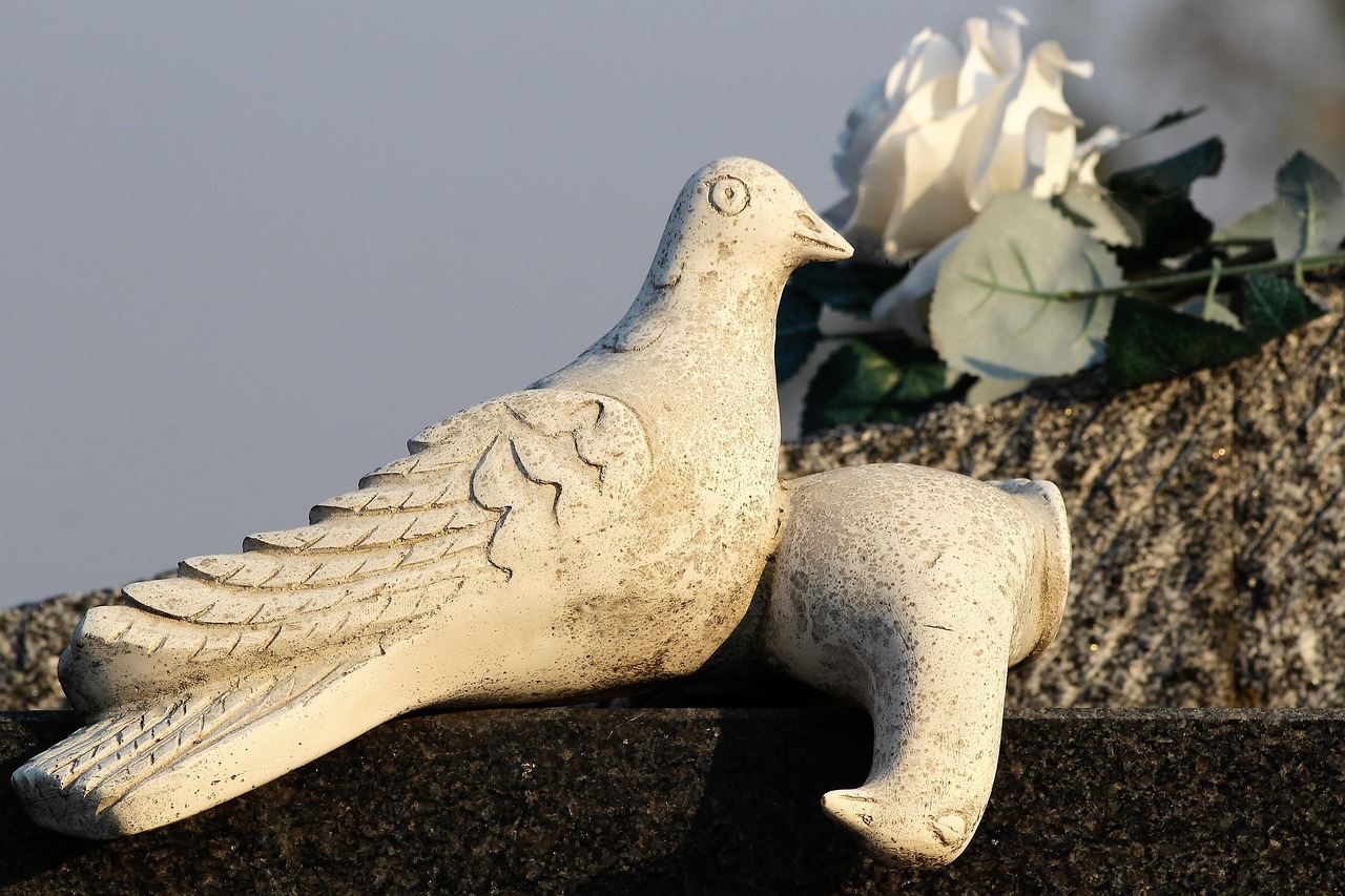 white dowes, monument, gravestone, cemetery, graveyard, nature, outdoor