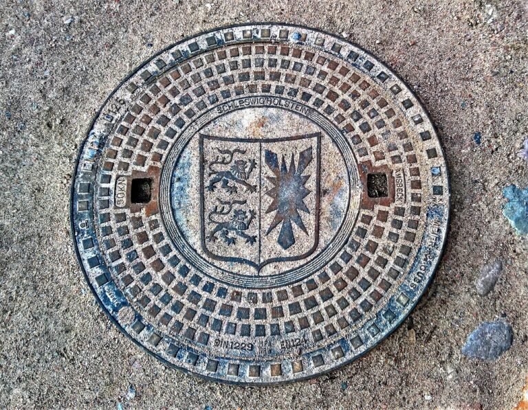 manhole cover, sieldeckel, coat of arms of schleswig-holstein, metal, split, on the left, two lions, right holstein nettle leaf, cover, sewage system, wastewater, gullideckel, plate, custom-made