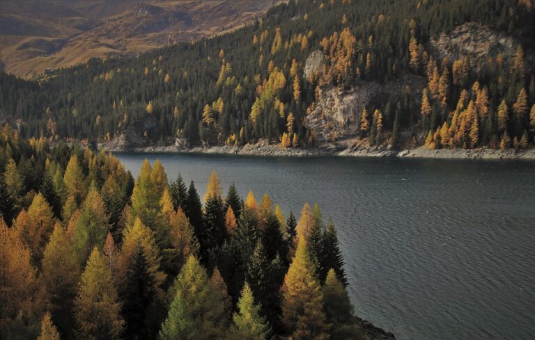 twilight, lake, alpine, mountains, water surface, forest, alp, mood, panorama, look, afternoon, landscape, scenery, distant view, quiet, peace of mind, heights, east, in the morning, morning, in the evening, nature, rocky shore, silence, sanatorium, harmony