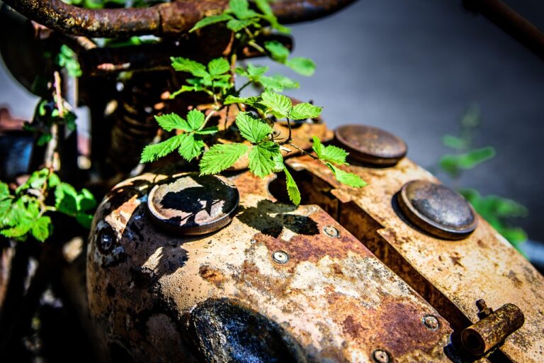 rust, motorcycle, metal, old, corrosion, motorcycle, corrosion, corrosion, corrosion, corrosion, corrosion