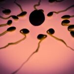 sperm, egg cell, fertilization, sex cell, winner, competition, ovule, the best, front runner, sperm cell, seeds, first, life, sperm, sperm, sperm, sperm, sperm