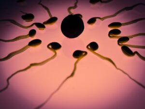 sperm, egg cell, fertilization, sex cell, winner, competition, ovule, the best, front runner, sperm cell, seeds, first, life, sperm, sperm, sperm, sperm, sperm