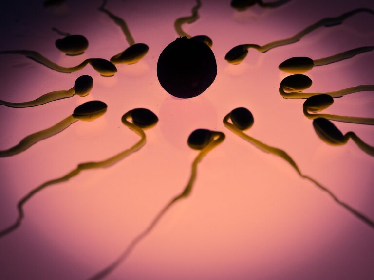 sperm, egg cell, fertilization, sex cell, winner, competition, ovule, the best, front runner, sperm cell, seeds, first, life, sperm, sperm, sperm, sperm, sperm