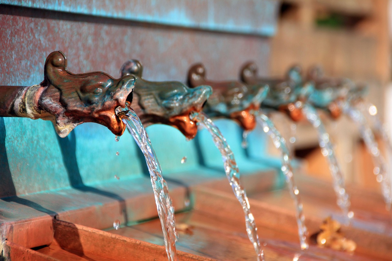 water, fountain, water fountain, drinking fountain, gargoyle, nature, bad salzuflen, germany