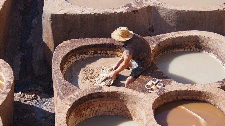 morocco, fes, colorful, color, tannery, leather, skin, craftsmen, tanning, traditional, morocco, fes, fes, fes, fes, fes