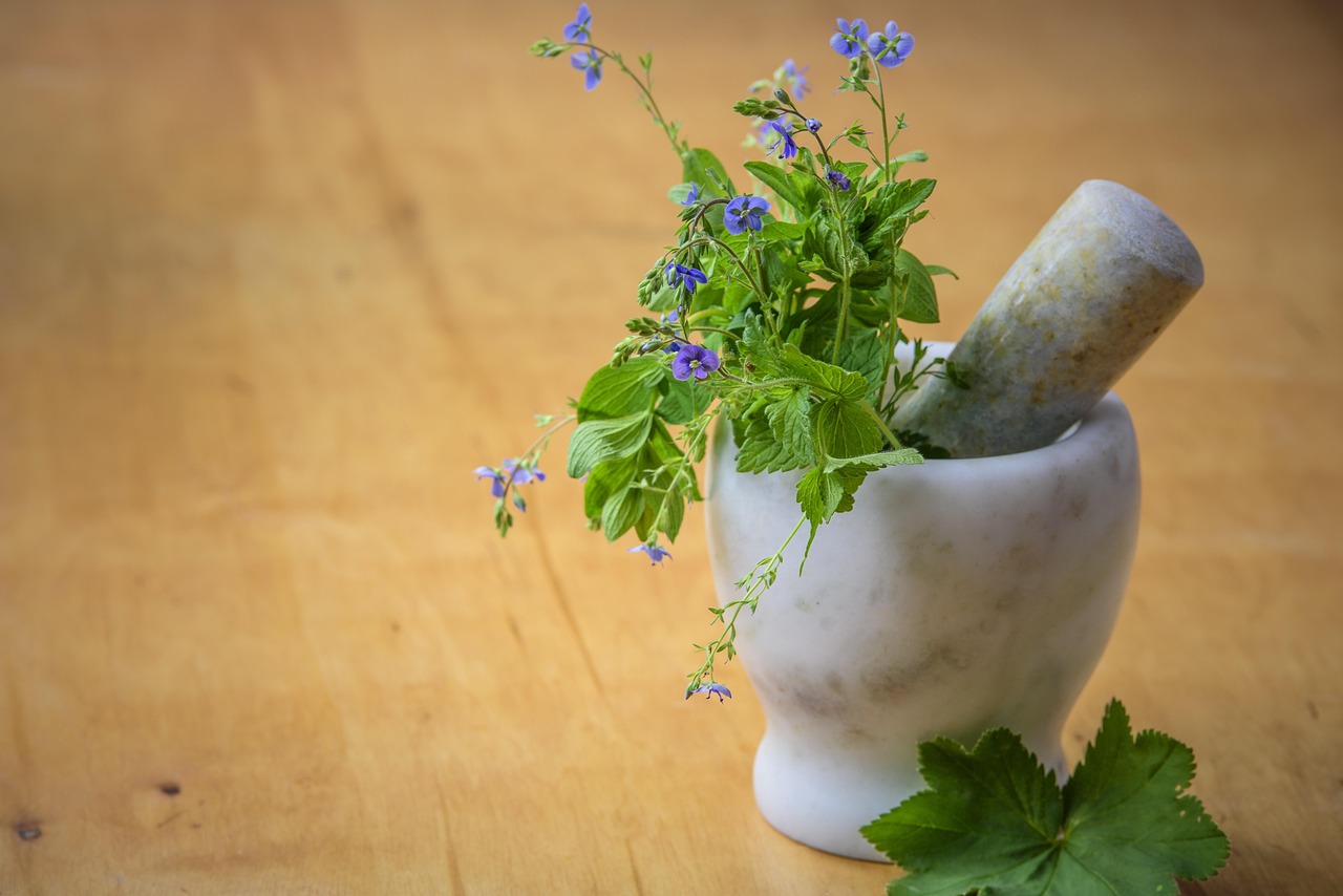 natural medicine, herbs from the meadow, nature, health, mortar, cleansing, a healthy diet, treatment, ecology, natural medicines, home remedies, regulations, the tradition of, home remedies, home remedies, home remedies, home remedies, home remedies