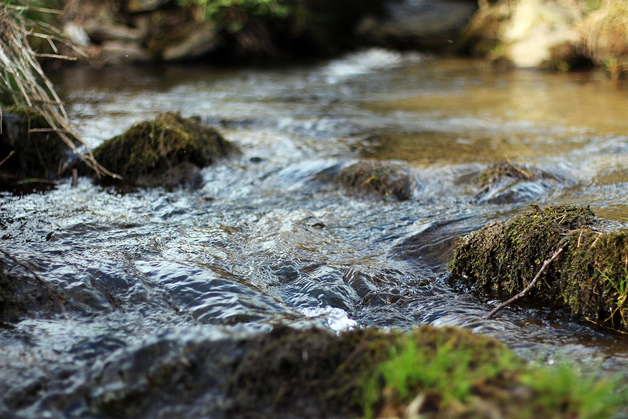 water, river, small water, puddle, nature, flow, water flow, landscape, waterfall, lake, mood, wet