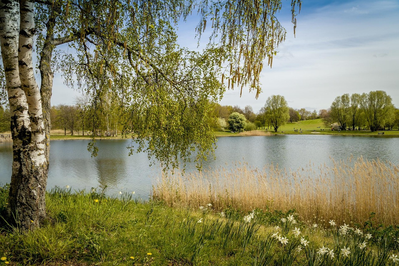 britz garden, berlin, nature, recreation, spring, leisure time, landscape, editorial use only, berlin, berlin, berlin, berlin, berlin