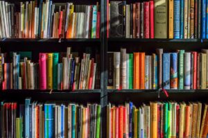 christmas background, books, bookstore, reading, writer, read, reader, colors, shelf, education, library, knowledge, novels