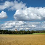 farm, land, clouds, field, farmland, agriculture, rural, countryside, cumulus, cumulus clouds, sky, panorama, landscape, nature, horizon, trees, austria, farm, farm, land, land, land, land, land, clouds, agriculture, sky