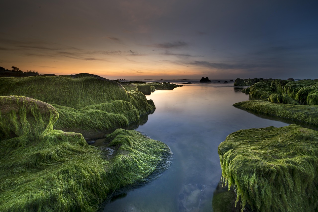 coast, free wallpaper, algae, sea, beach, shore, free background, background, green, hd wallpaper, summer, sky, 4k wallpaper, wallpaper 4k, 4k wallpaper 1920x1080, nature, water, mac wallpaper, windows wallpaper, sky background, wallpaper hd, laptop wallpaper, desktop backgrounds, cool backgrounds, landscape, rocky coast, outdoors, ocean, asia, sunset, peaceful, beautiful wallpaper, full hd wallpaper, nature wallpaper